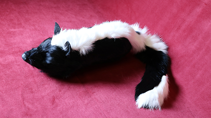 Spring Skunk Spring Skunk – Show-Biz Services